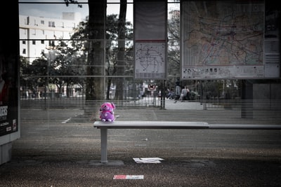 白天，街道旁的灰色金属长凳上放着紫色动物毛绒玩具